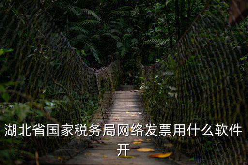 國家稅務局湖北省電子稅務局，湖北省國家稅務局網絡發票用什么軟件開