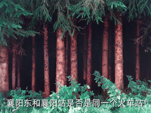 襄陽東和襄陽站是否是同一個火車站