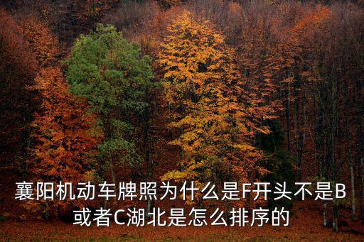 襄陽車牌，襄陽9字開頭號段車牌是哪兒