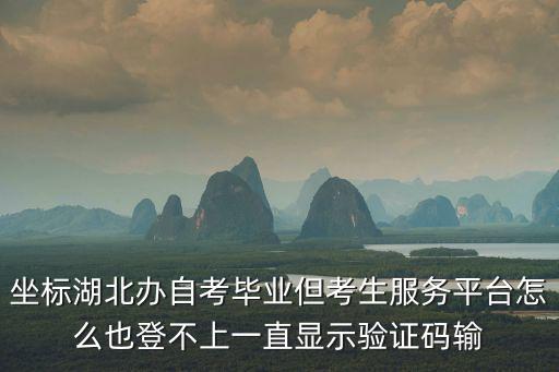坐標湖北辦自考畢業但考生服務平臺怎么也登不上一直顯示驗證碼輸
