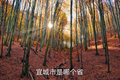 宜城市是哪個省