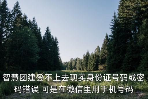 智慧團建登不上去現實身份證號碼或密碼錯誤 可是在微信里用手機號碼