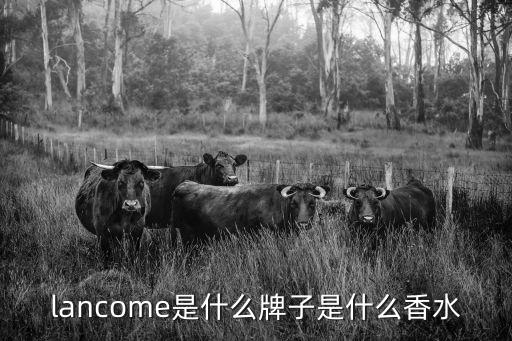 lancome是什么牌子是什么香水