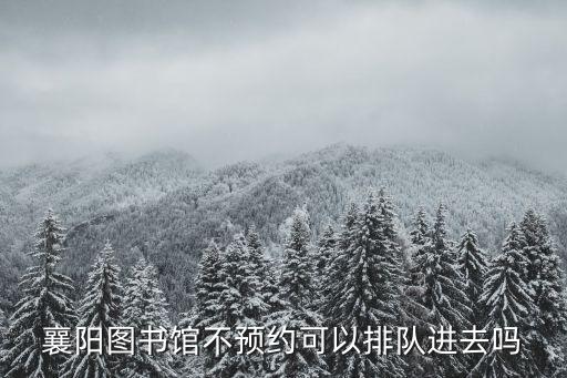 襄陽圖書館不預約可以排隊進去嗎