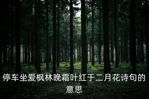 楓葉紅于二月花，停車坐愛楓林晚霜葉紅于二月花詩句的意思