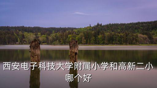 高新二小，西安電子科技大學附屬小學和高新二小哪個好
