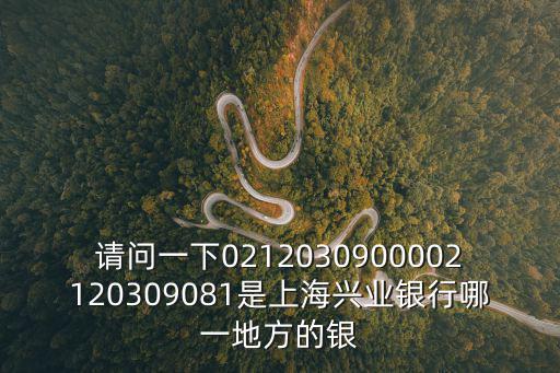 上海興業，上海興業銀行在靜安區愚園路246弄10號有支行嗎