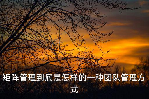矩陣式管理，矩陣管理到底是怎樣的一種團隊管理方式