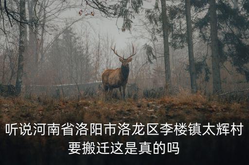 聽說河南省洛陽市洛龍區(qū)李樓鎮(zhèn)太輝村要搬遷這是真的嗎