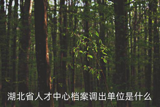 湖北省人才服務局，有哪些朋友能告訴我湖北省人才中心檔案托管中心在哪里具體地