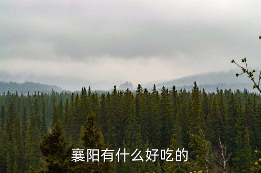 襄陽有什么好吃的