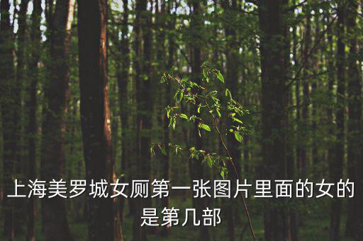 美羅城廁所，上海美羅城女廁第一張圖片里面的女的是第幾部
