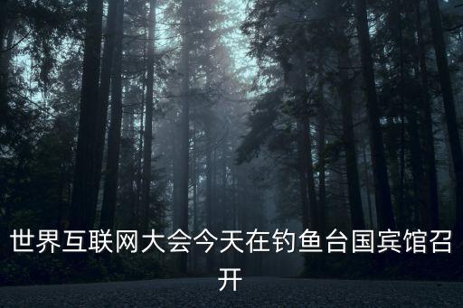 世界物聯(lián)網(wǎng)大會(huì)，第二屆世界互聯(lián)網(wǎng)大會(huì)在哪舉行
