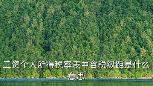 工資個人所得稅率表中含稅級距是什么意思