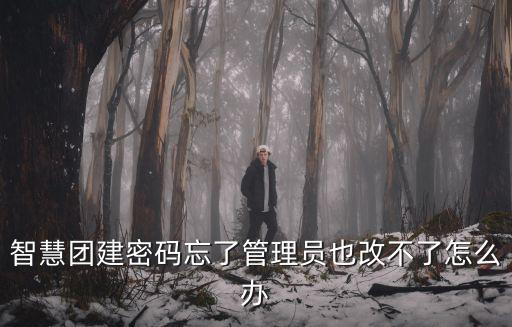 智慧團建密碼忘了管理員也改不了怎么辦