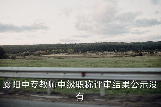 襄陽(yáng)中專教師中級(jí)職稱評(píng)審結(jié)果公示沒有
