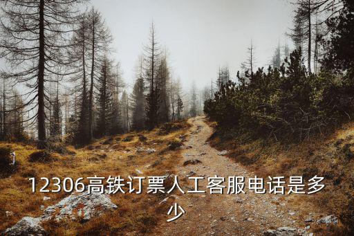 12306高鐵訂票人工客服電話是多少