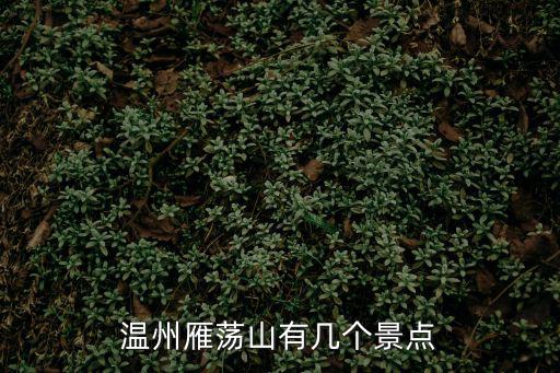 溫州雁蕩山有幾個景點