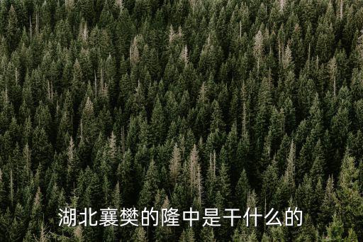 湖北襄樊的隆中是干什么的