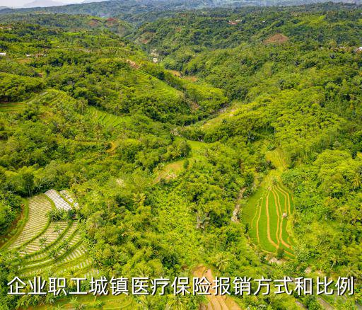 企業職工城鎮醫療保險報銷方式和比例