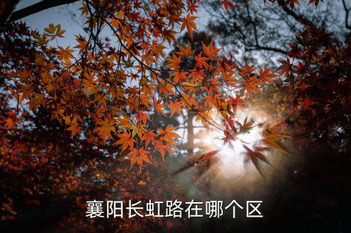 襄陽長虹路在哪個區
