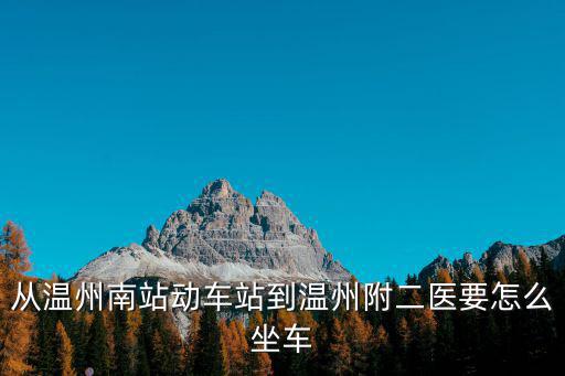從溫州南站動車站到溫州附二醫要怎么坐車