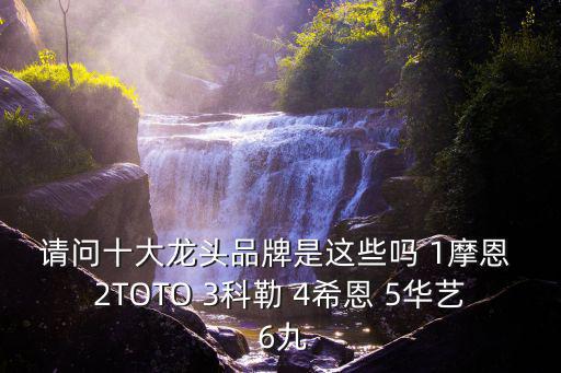請問十大龍頭品牌是這些嗎 1摩恩 2TOTO 3科勒 4希恩 5華藝 6九