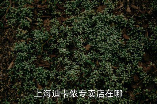 上海迪卡儂專賣店在哪