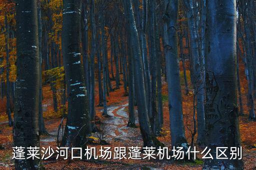 蓬萊沙河口機場跟蓬萊機場什么區別