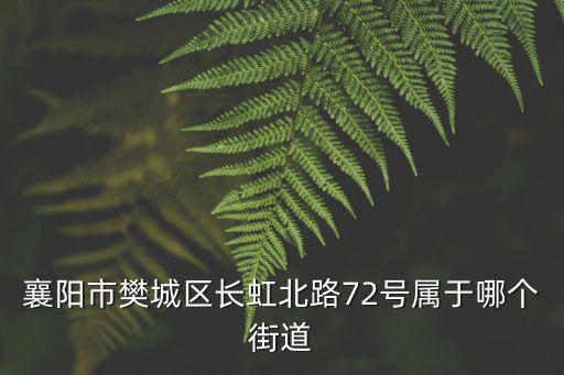 長虹北路，長虹北路民發天地屬于襄陽哪個區哪個街道
