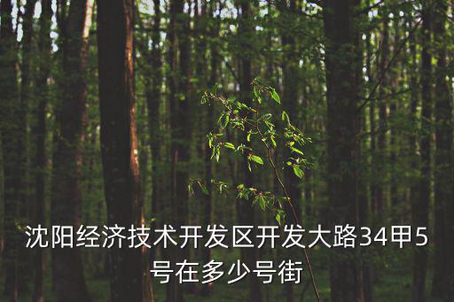 沈陽經濟技術開發區開發大路34甲5號在多少號街