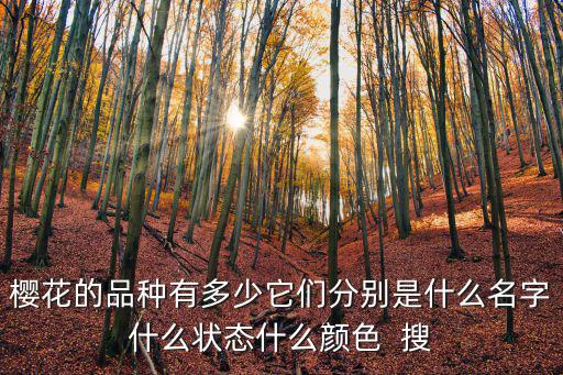 櫻花品種，櫻花的品種有多少它們分別是什么名字什么狀態(tài)什么顏色  搜
