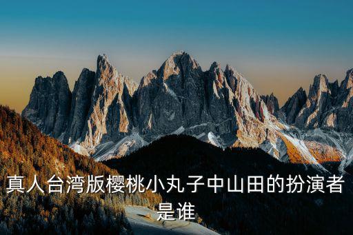 臺灣小丸子，臺灣麥當勞 小丸子