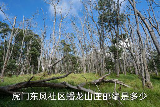 虎門東風(fēng)社區(qū)蟠龍山莊郵編是多少