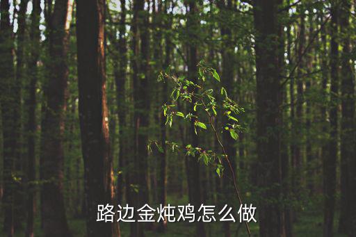 路邊金燉雞怎么做