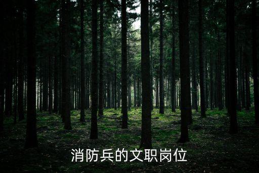 消防兵的文職崗位