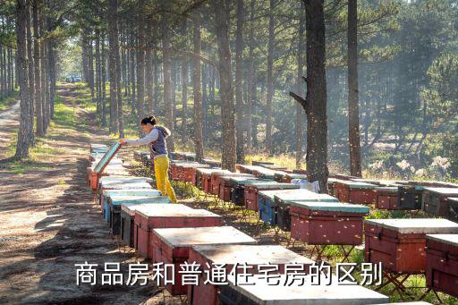 商品房和普通住宅房的區別