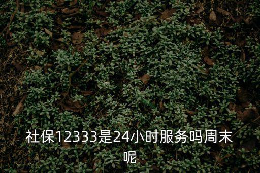 社保12333是24小時服務嗎周末呢