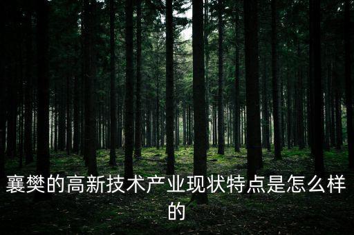 襄樊的高新技術產業現狀特點是怎么樣的