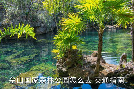 佘山國家森林公園怎么去 交通指南