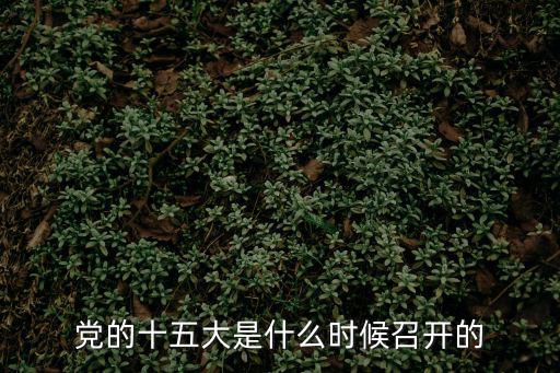 黨的十五大是什么時候召開的