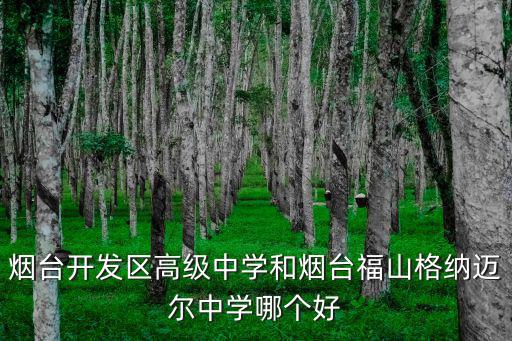 煙臺(tái)開(kāi)發(fā)區(qū)高級(jí)中學(xué)和煙臺(tái)福山格納邁爾中學(xué)哪個(gè)好