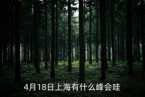 4月18日上海有什么峰會哇