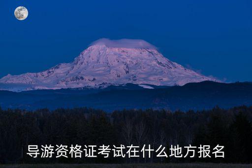 全國導游資格考試網上報名系統，我想今年自考導游證請問官網網址是什么怎么報名