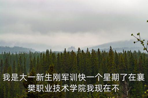 我是大一新生剛軍訓(xùn)快一個星期了在襄樊職業(yè)技術(shù)學(xué)院我現(xiàn)在不
