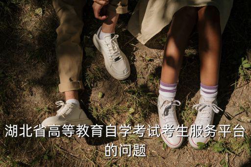 湖北省高等教育自學考試考生服務平臺的問題