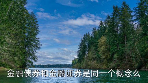 金融債券和金融證券是同一個(gè)概念么