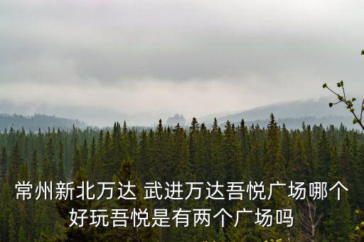 常州新北萬(wàn)達(dá) 武進(jìn)萬(wàn)達(dá)吾悅廣場(chǎng)哪個(gè)好玩吾悅是有兩個(gè)廣場(chǎng)嗎
