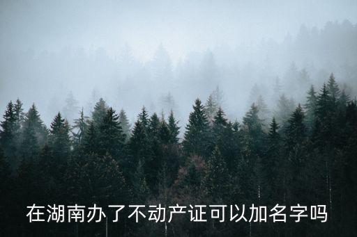 湖南不動產，不動產位于淚羅市和長沙縣兩地交界處在正常情況下權利人應當向