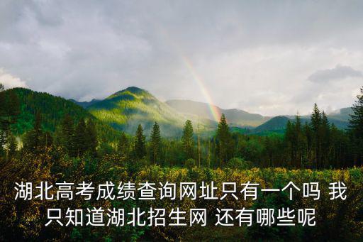 湖北高考成績查詢網址只有一個嗎 我只知道湖北招生網 還有哪些呢